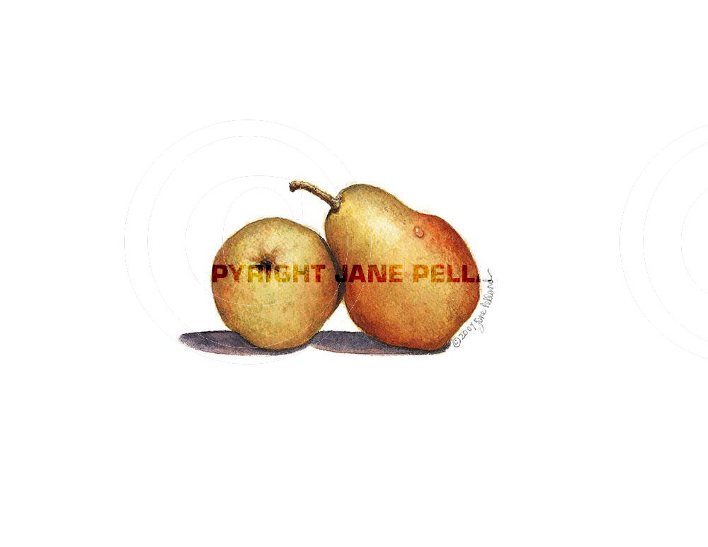 Pears 